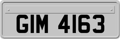 GIM4163