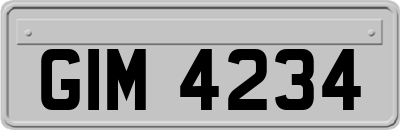 GIM4234