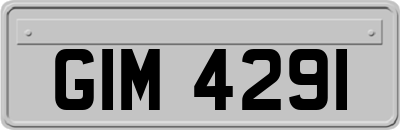 GIM4291