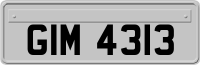 GIM4313