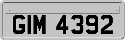 GIM4392