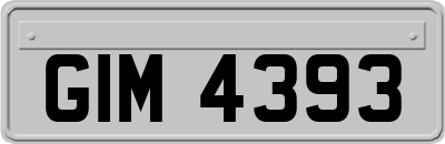 GIM4393