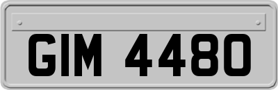 GIM4480