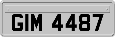 GIM4487