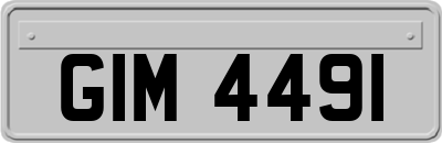 GIM4491