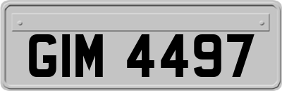 GIM4497
