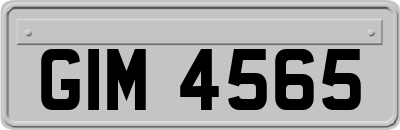 GIM4565