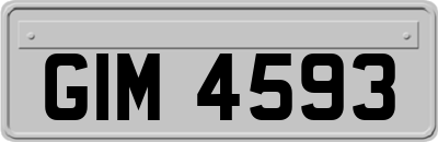 GIM4593