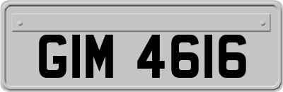 GIM4616