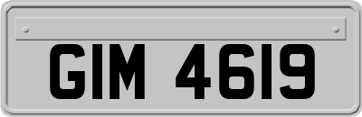 GIM4619