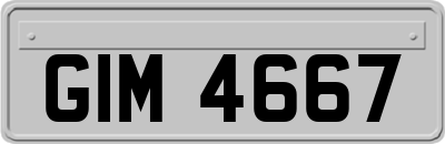 GIM4667