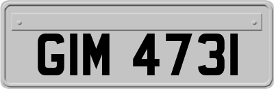 GIM4731