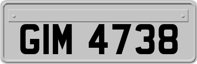 GIM4738
