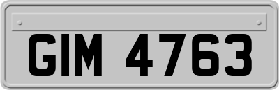 GIM4763