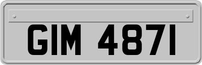 GIM4871