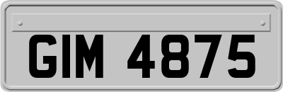GIM4875