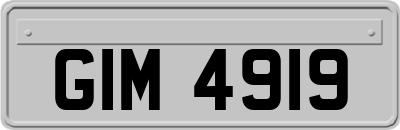 GIM4919