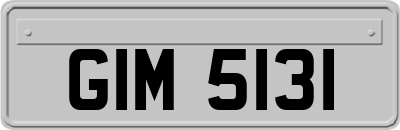 GIM5131