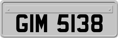 GIM5138