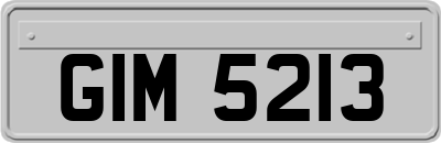 GIM5213