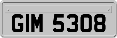 GIM5308