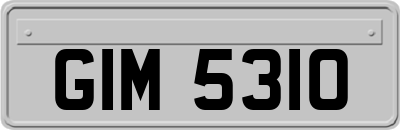 GIM5310