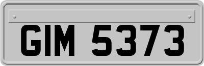 GIM5373