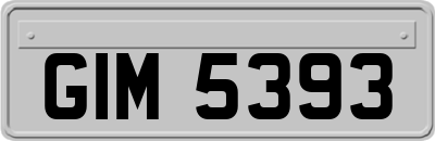 GIM5393