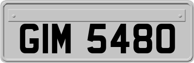 GIM5480