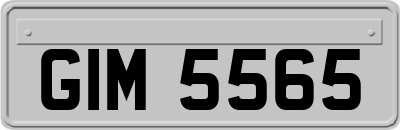 GIM5565