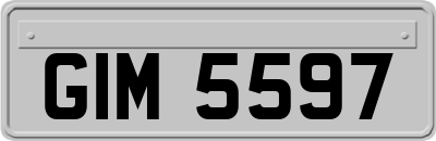 GIM5597
