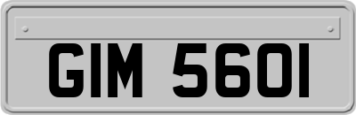 GIM5601
