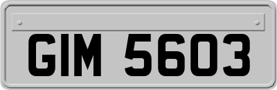 GIM5603