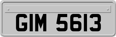 GIM5613