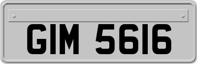 GIM5616