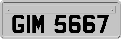 GIM5667