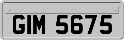 GIM5675