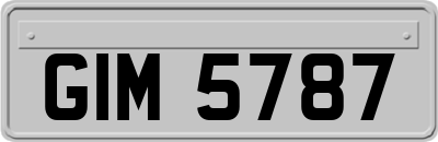 GIM5787