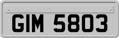 GIM5803