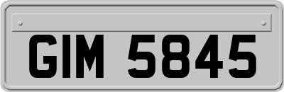 GIM5845