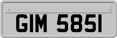 GIM5851