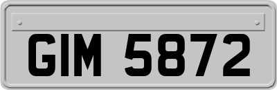 GIM5872