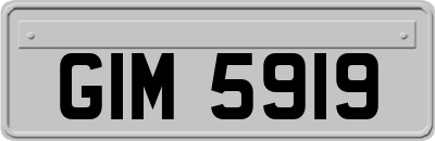 GIM5919