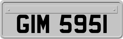 GIM5951