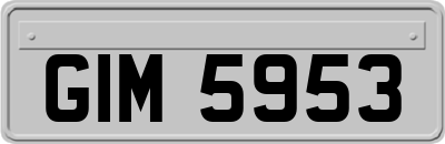 GIM5953