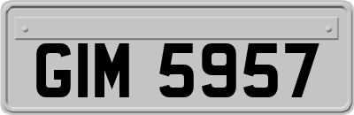 GIM5957