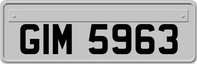 GIM5963