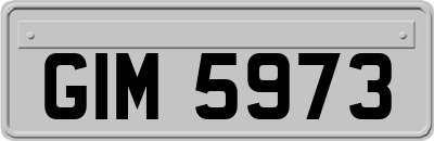 GIM5973