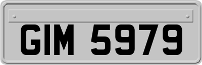 GIM5979
