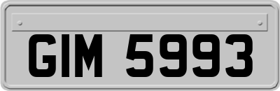 GIM5993